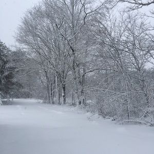 Meet your Posher, Holly